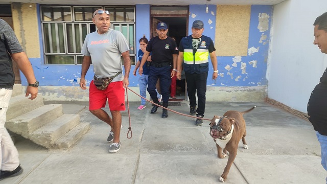 (Foto cortesía PNP)