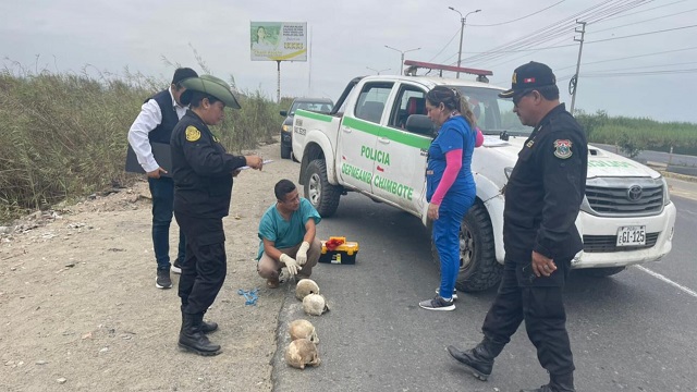 (Foto cortesía PNP)