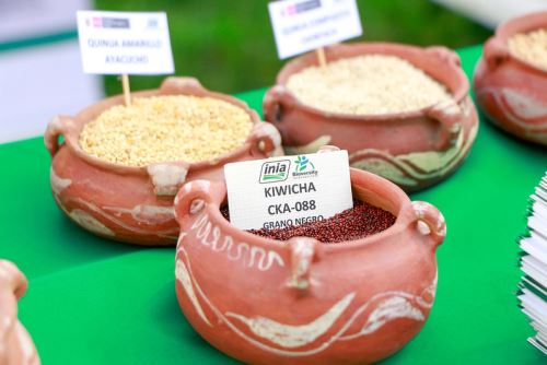 Foto: Andina