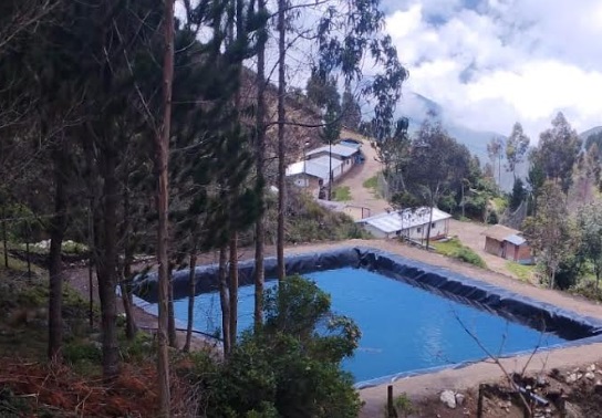 Foto: cortesía