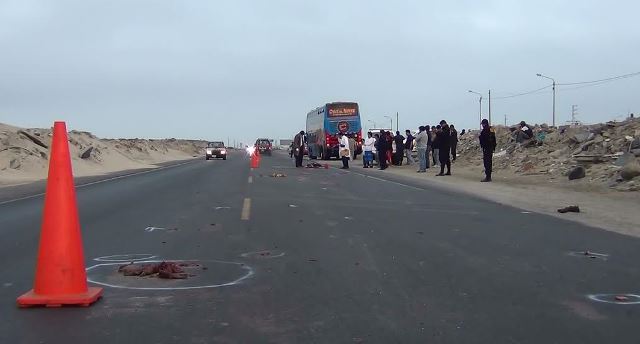 (Fotos: cortesía Serenazgo MDNCH)