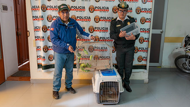 Foto: cortesía