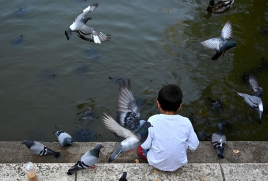 Foto: AFP Foto: AFP