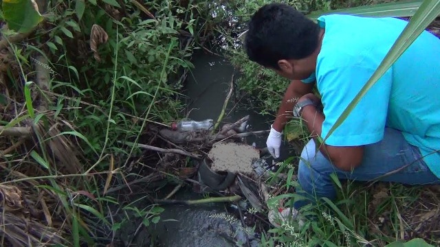 Foto: Servicio de Serenazgo de Nuevo Chimbote
