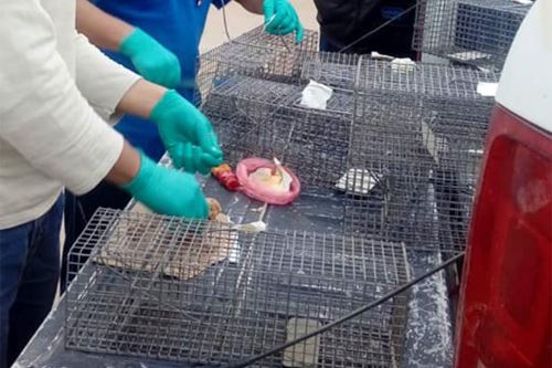 Foto cortesía Minsa