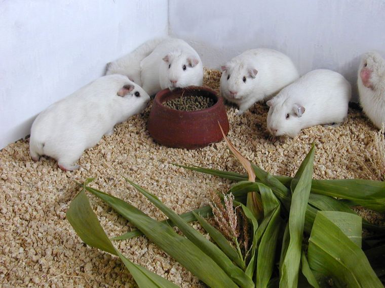 Foto: cortesía