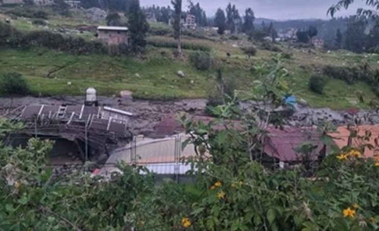 (Foto cortesía Andina)