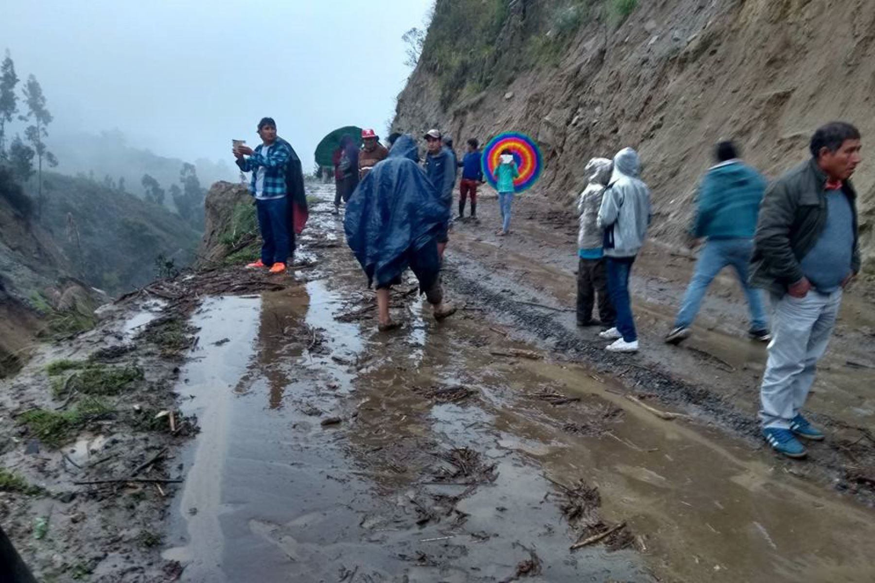 Foto cortesía Andina