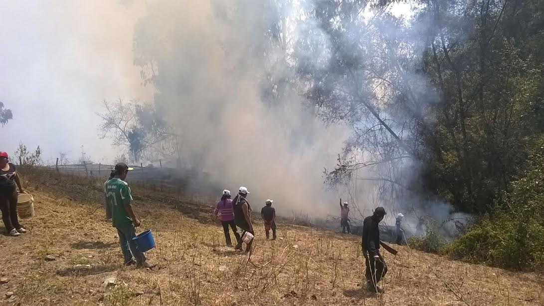 (Foto cortesía)