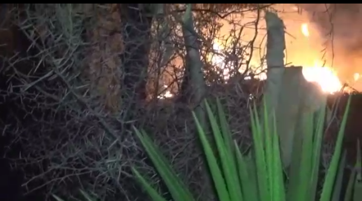 Foto captura video