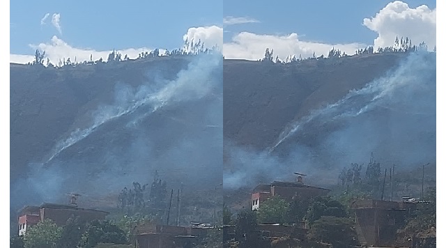(Foto cortesía Coer)