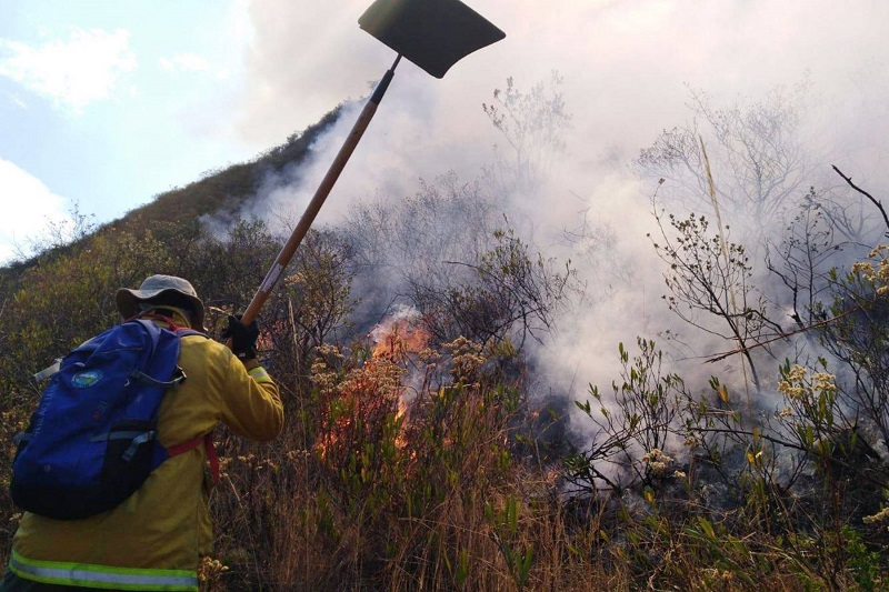 Foto: Cortesía Gonzalo Horna