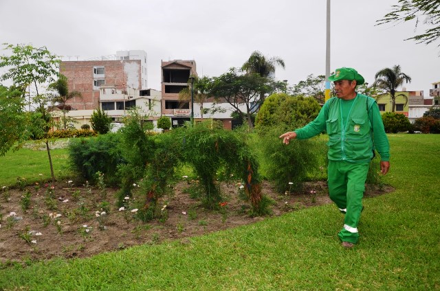 (Foto: cortesía MDNCH)