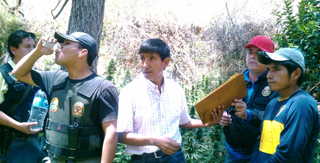 Durante la intervención incineraron 7 mil plantones de marihuana.