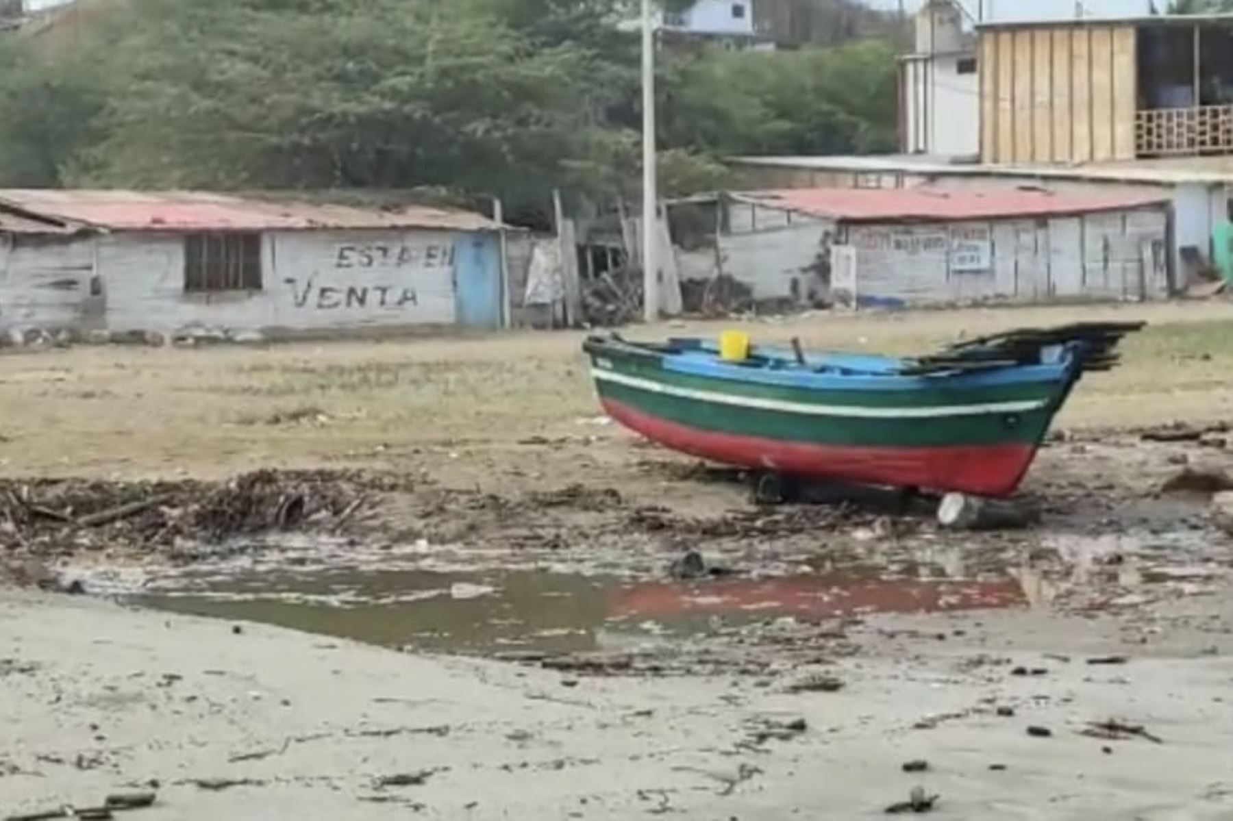 Foto: cortesía
