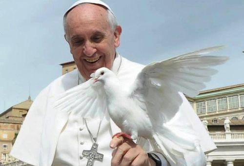 El Papa se presenta como una persona normal y que no actúa frente a las cámaras.