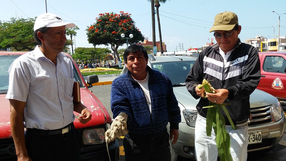 Foto Milton Palpa