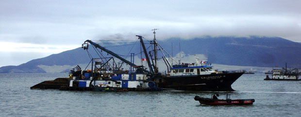 pescaindustrial