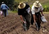 El Año de la Inversión para el Desarrollo Rural y la Seguridad Alimentaria está pasando sin pena ni gloria.