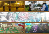 (Foto collage por Evelyn Morales Ordinola)