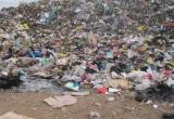 Crónica de Nayeli Espinoza, periodista escolar, quien nos narra la cruda y desgarradora realidad de los recicladores que viven en los basurales de Coishco.