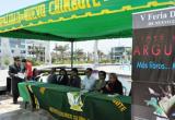 (Foto: Archivo Chimbotenlinea.com)