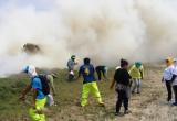 Inescrupulosos prendieron fuego al área verde de la zona.