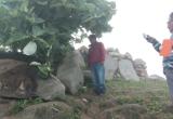 Foto: COER