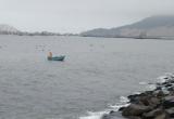 Momentos en que un pescador inescrupuloso extrae especies en el Malecón Grau, frente a la urbanización La Caleta. (Fotos Chimbotenlinea.com)