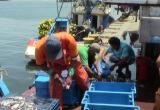 Los pescadores y armadores para consumo humano directo piden que no se decrete veda en su sector.