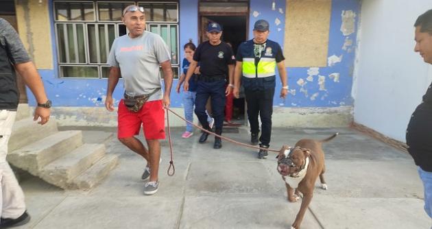 (Foto cortesía PNP)