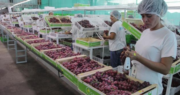 Foto: cortesía