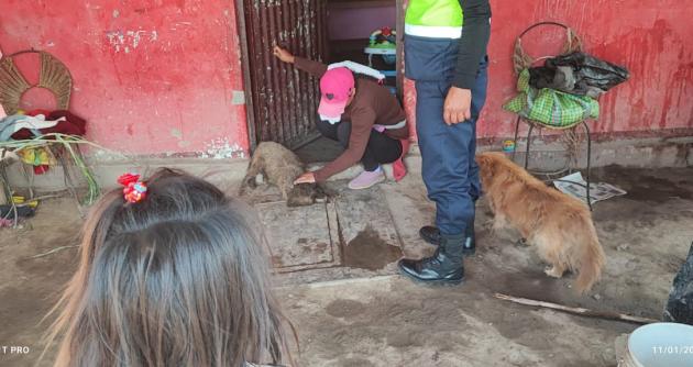 (Foto cortesía PNP)
