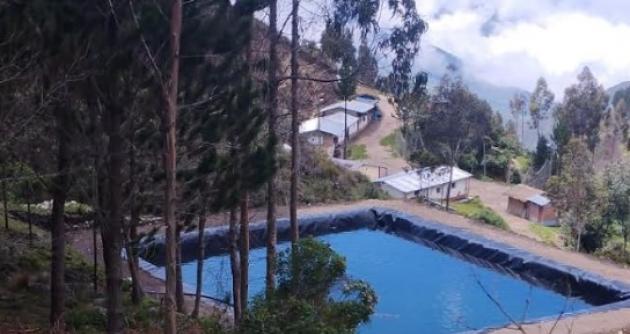Foto: cortesía