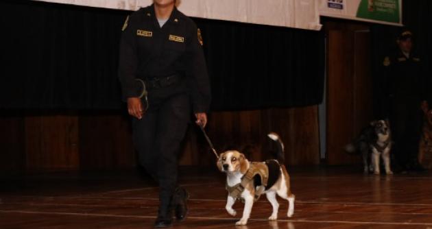 Foto: cortesía