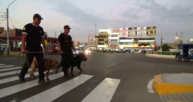 Foto:seguridad ciudadana