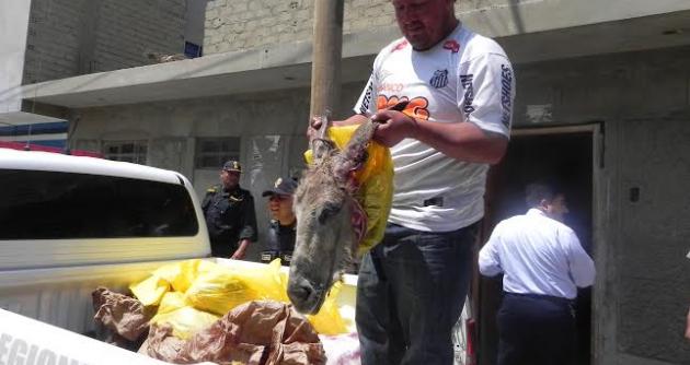 Animales fueron robados en Cascajal y su carne iba a ser vendida en mercados.