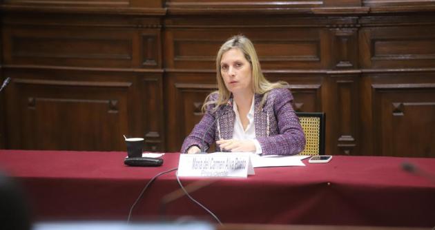 Foto: Congreso de la República