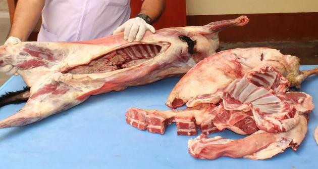 La municipalidad intervino varios mercados de Chimbote donde se incautó carne que no contaba con el registro sanitario.