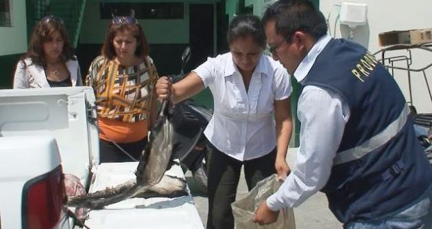 foto: Cortesía MPC