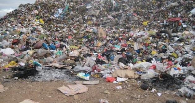 Crónica de Nayeli Espinoza, periodista escolar, quien nos narra la cruda y desgarradora realidad de los recicladores que viven en los basurales de Coishco.