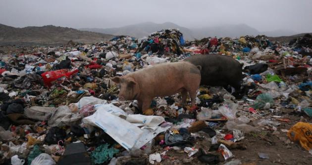 ( Foto cortesía Municipalidad de Nuevo Chimbote)