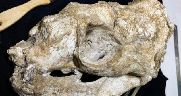 Foto: Leonardo Hostos-Olivera