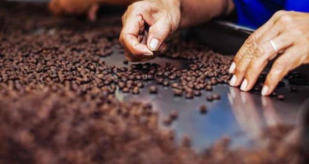 Foto: cortesía Infobae