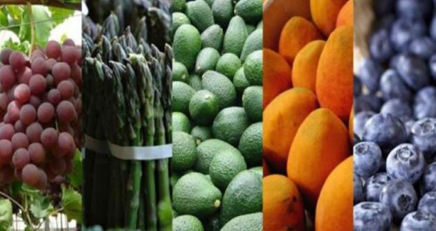 Foto: cortesía Andina