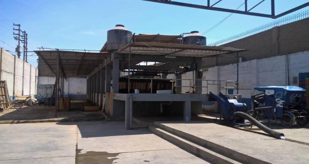 Foto Milton Palpa