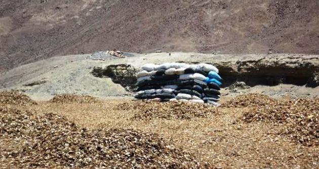 Se decomisaron 180 toneladas de harina residual de anchoveta secado en pampas.