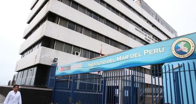 Foto referencial