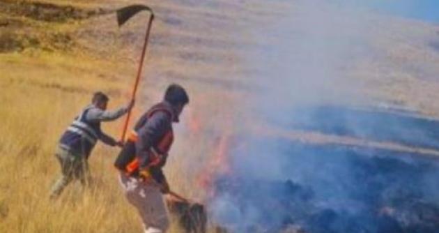 Foto: cortesía Andina
