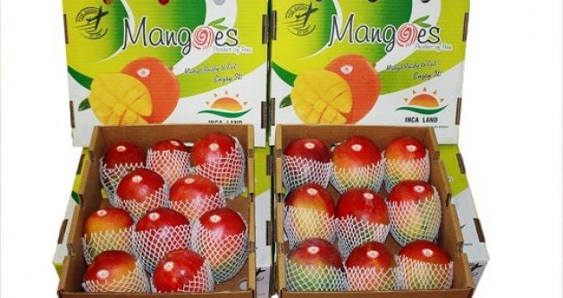 Foto referencial - internet